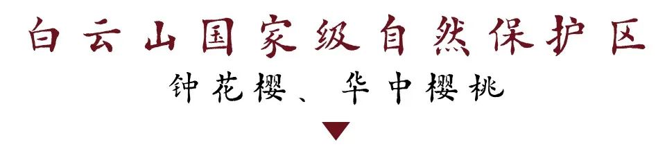 DƬ